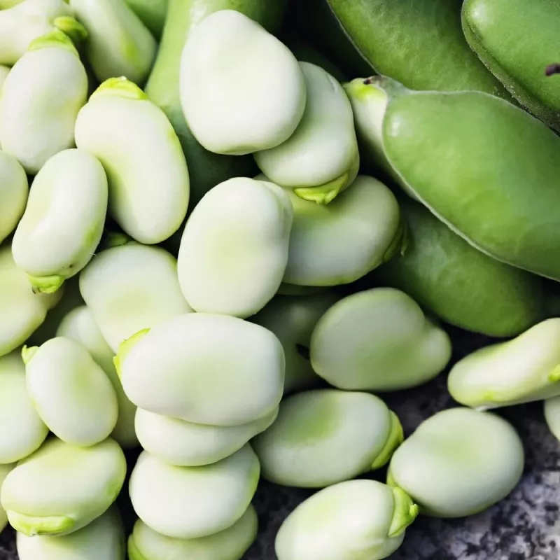 Seemnepakk Apte PNOS — Põlduba (fava) Jankiel Bialy, 50 g