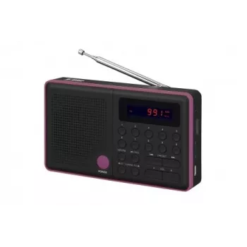 Raadio Pliszka USB, FM must
