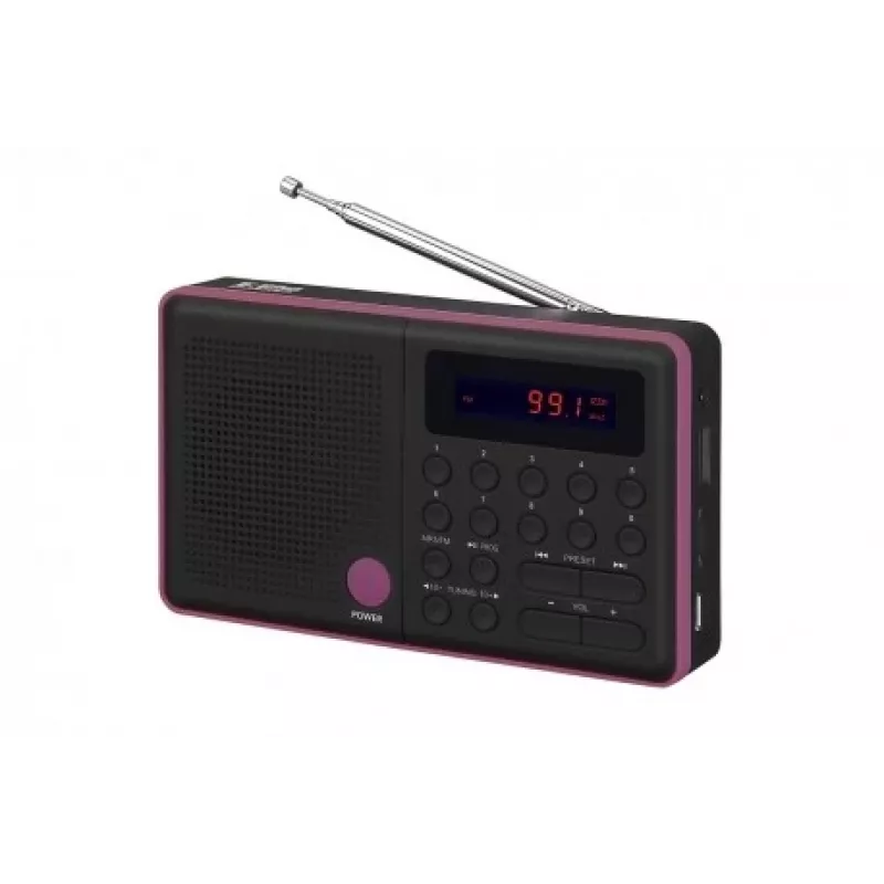 Raadio Pliszka USB, FM must