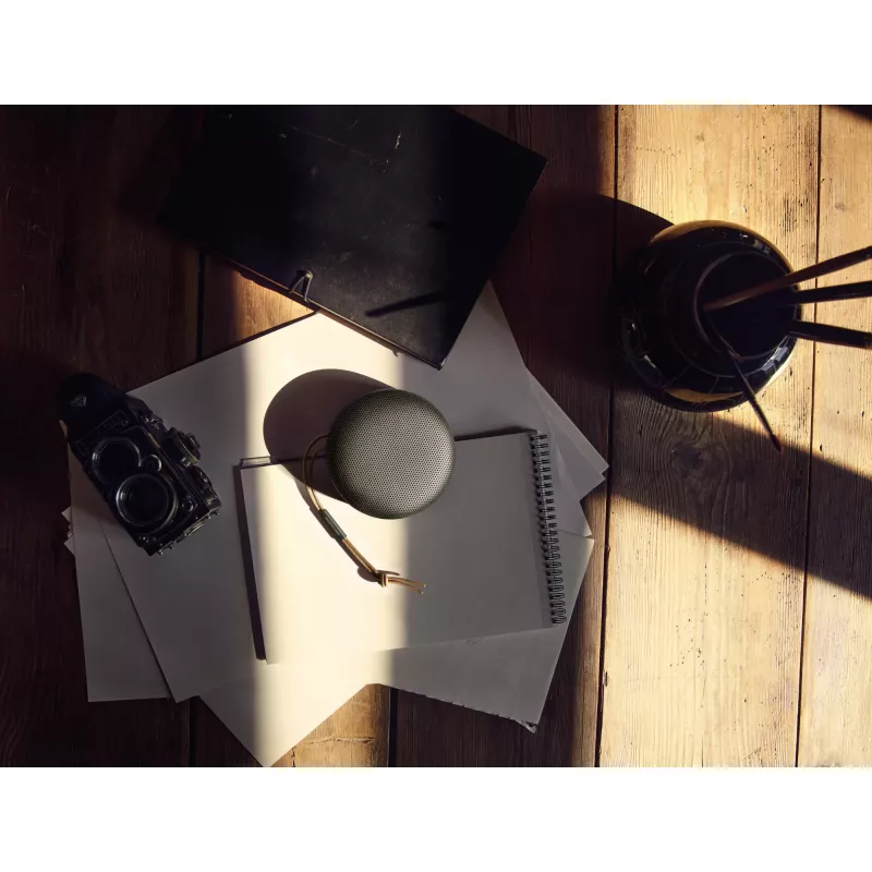 Bang & Olufsen 1734002 kaasaskantav veekindel Bluetooth-kõlar