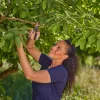Möödalõikeoksakäärid GARDENA PremiumCut 12241-20, hall/türkiis