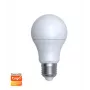Nutipirn Denver SHL-340