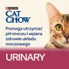 Purina Cat Chow Special Care Urinary Tract Health- kasside kuivtoit 15 kg täiskasvanu kana