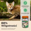 Märjad kassimaiused INABA Churu variatsioonid — kana ja tuunikala, 50 x 14 g pastatuubi, teraviljavaba, gluteeni- ja suhkruvaba