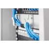 Kaablihalduspaneel Digitus DN-10 ORG-1U