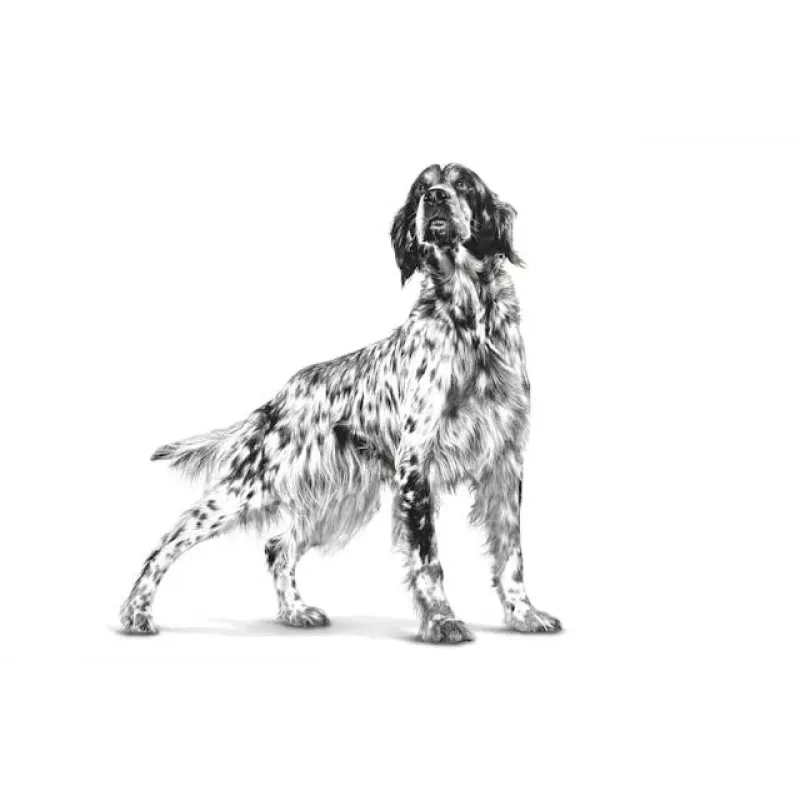 Kuiv koeratoit Royal Canin Hepatic VHN 7 kg — veterinaardieet maksa toetamiseks, 16% valku, 16% rasva