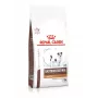 Kuiv koeratoit Royal Canin Gastrointestinal Low Fat Small — 1,5 kg, madala rasvasisaldusega väikestele täiskasvanud koertele