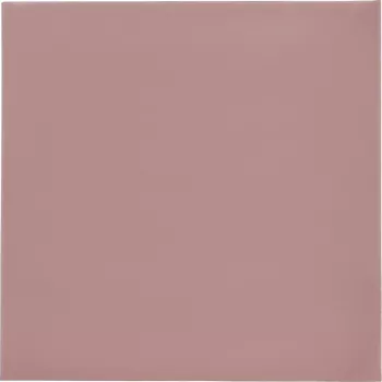 Thermal Grizzly Minus Pad 8 - 100 x 100 x 1.0 mm, 2 tk