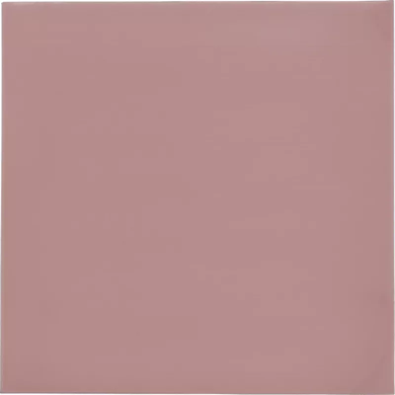 Thermal Grizzly Minus Pad 8 - 100 x 100 x 1.0 mm, 2 tk