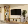 MALWA 120 TV-kapp, artisan tamm/kašmiir