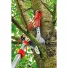 Puulõikur WOLF-Garten RC-VM ANVIL PROFI