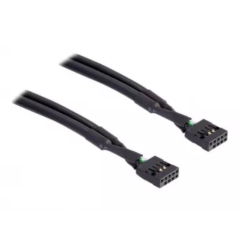Sisemine USB-kaabel DeLOCK 82437 0,5 m 10 kontaktiga emane
