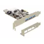 Liidesekaart DeLOCK 89281 USB 3.2 Gen 1