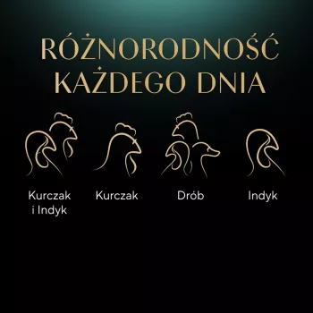 Märg kassitoit Sheba kandik Kaste Linnuliha (kana, kalkun) 32 x 85 g kandik