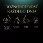 Märg kassitoit Sheba kandik Kaste Linnuliha (kana, kalkun) 32 x 85 g kandik