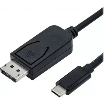 ROLINE - adapterkaabel - 24 kontaktiga USB-C (M) DisplayPorti (M) - USB 3.1 / DisplayPort 1.2 - 2 m - kahesuunaline, toetab 4K 60 Hz (3840 x 2160) - must (11.04.5958)
