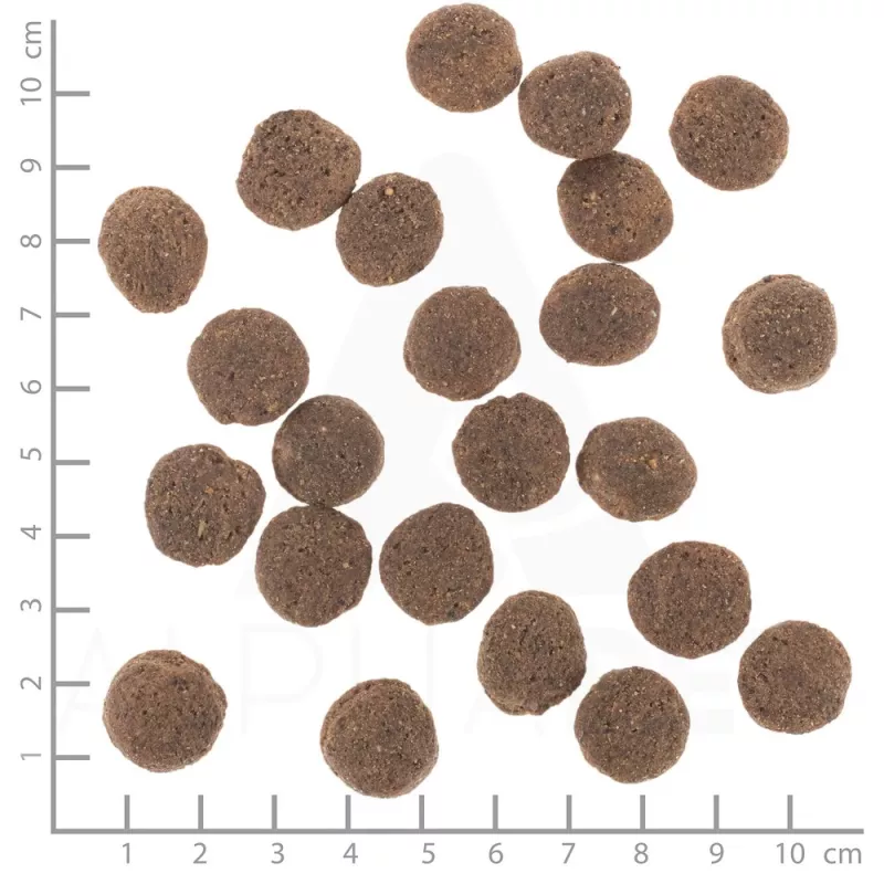 Kuiv koeratoit Wolfsblut VetLine Hüpoallergeenne Hobune — 12 kg, monoproteiin, 20% valku, tera- ja gluteenivaba