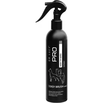 DR Lucy Easy Brush Spray Shampoo hõlpsamaks kammimiseks
