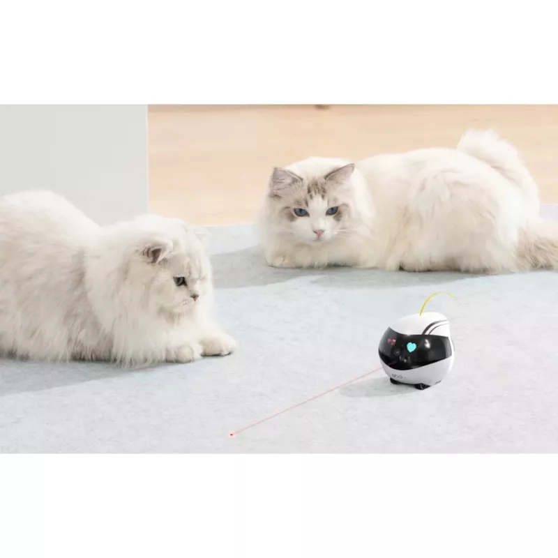 ENABOT Ebo Air AI Robot Valge ja Must