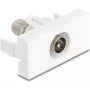 Pistikupesa IEC / F DeLOCK 90828 Valge 75 Ω Sirge