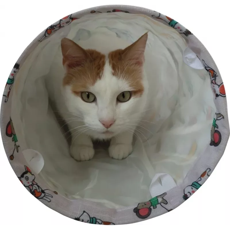 Kassitunnel ZOLUX CHATOUILLE 100 cm kassi- ja hiiremustriga — lemmikloomamänguasi