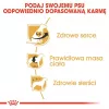 Kuiv koeratoit Royal Canin Cavalier King Charles Adult 1.5 kg — Kana, Väikest tõugu, Nahk ja karv, Südame tugi