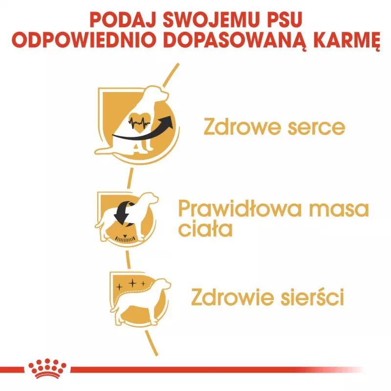 Kuiv koeratoit Royal Canin Cavalier King Charles Adult 1.5 kg — Kana, Väikest tõugu, Nahk ja karv, Südame tugi