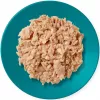 Niiske kassitoit Applaws Tuna Filee Makrelliga Tarrendis 70 g kotike, täiskasvanud kassidele, 82% niiskust, 13% valku