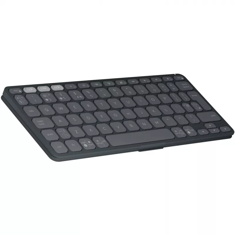 Klaviatuur Keys-To-Go 2 grafiit US
