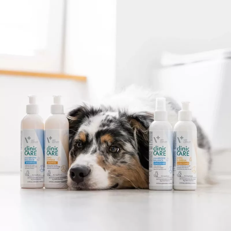 Šampoon VETEXPERT Clinic Care Balance 250 ml — tasakaalustatud nahahooldus koertele ja kassidele