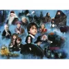 1000-osaline pusle Ravensburger Harry Potteri võlumaailm – 1000 tükki, standardsuuruses pusle