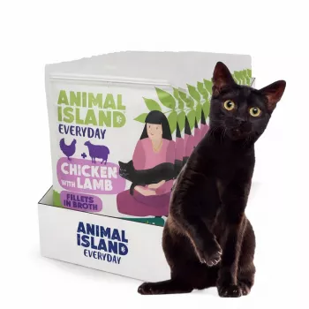 ANIMAL ISLAND Kana lambalihaga fileed puljongis - märgtoit kassidele - 12x85g