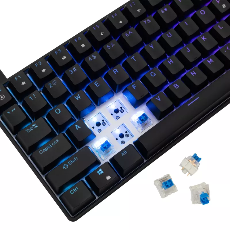 Mehaaniline klaviatuur White Shark GK-005121 RGB-valgustuse ja Blue lülititega
