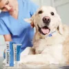 Haavageel JM Sante Polisept Vet 30 ml koertele ja kassidele, tuub 30 ml, 50 g