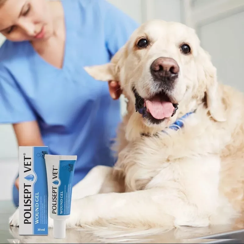 Haavageel JM Sante Polisept Vet 30 ml koertele ja kassidele, tuub 30 ml, 50 g