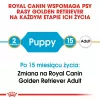 Royal Canin Golden Retriever Puppy kuivtoit koertele, 12 kg