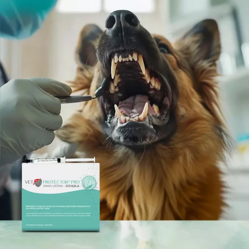 Suuhooldusgeel JM Sante Vet Protector — suule ja igemetele, veterinaarne suuhügieen