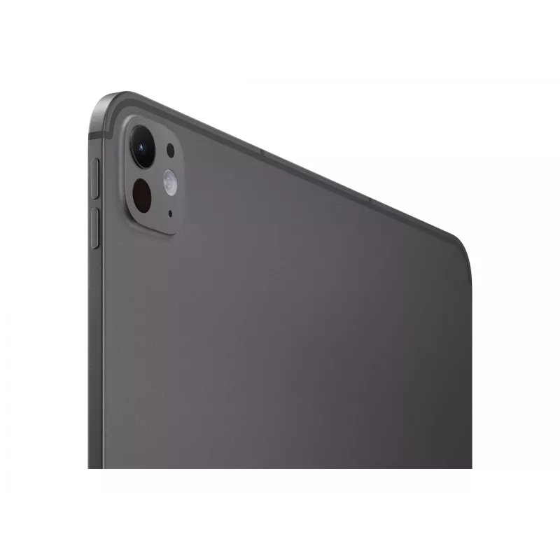 APPLE 33 cm 13-tolline iPad Pro Wi-Fi + Cellular 2TB standardklaasiga Space Black [Energiaklass G] (ME8J4TY/A)