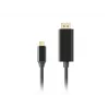 LANBERG CA-CMDP-10CU-0030-BK videokaabli adapter, 3 m, USB USB-C DisplayPortile, 4K@60Hz/144Hz tugi
