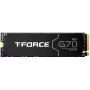 Team Group T-FORCE G70 Pro 2 TB PCIe 4.0 x4 | M.2 2280 | Grafeenjahutusradiaator