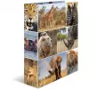 Ring binder A4 HERMA 7168 Multicolour