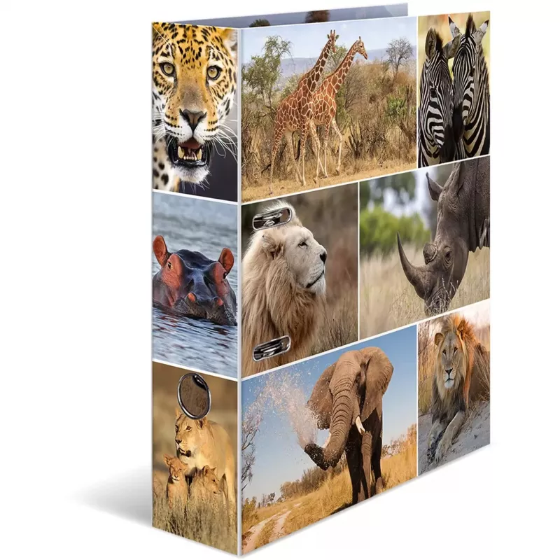 Ring binder A4 HERMA 7168 Multicolour