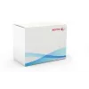 Xerox ülekanderull, WorkCentre 7525/7530/7535/7545/7556, 1 tk