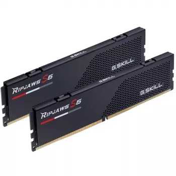G.skill F5-6800J3446F24GX2-RS5K mälumoodul
