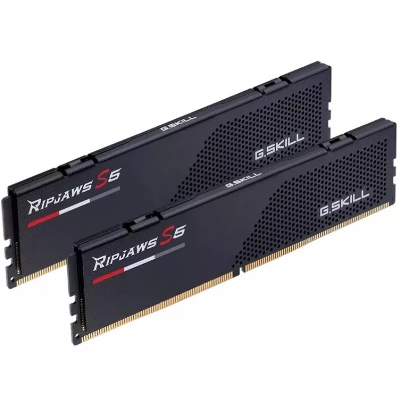 G.skill F5-6800J3446F24GX2-RS5K mälumoodul