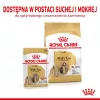 ROYAL CANIN Shih Tzu Adult märg koeratoit Pasteet 12x85 g