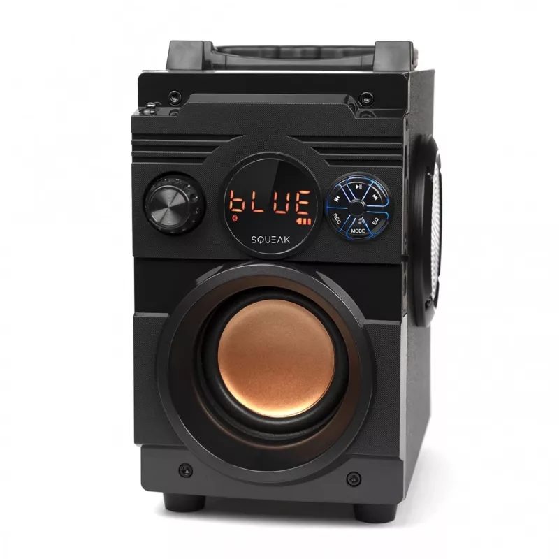 Squeak Bassblaster Bluetooth 5.1 kõlar, FM-raadio, MP3-mängija SQ1001