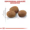 ROYAL CANIN Sterilised 7+ - kuiv kassitoit - 10 kg