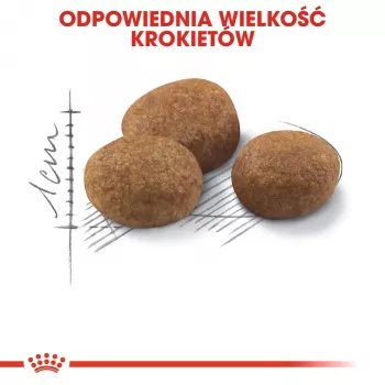 ROYAL CANIN Sterilised 7+ - kuiv kassitoit - 10 kg