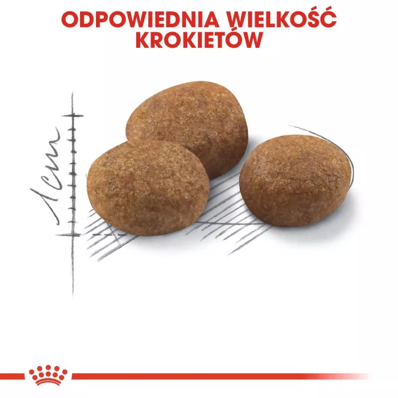 ROYAL CANIN Sterilised 7+ - kuiv kassitoit - 10 kg